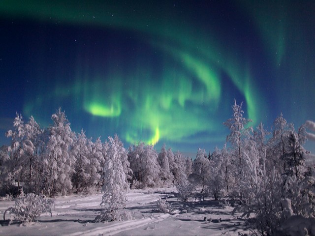 Aurora Borealis Alaska - Magnificent view of Aurora Borealis, Northern Lights of Alaska, which illuminates the sky over the beautiful landscape with snowy trees in a lovely shade of green. The Northern Lights is active throughout the year, but can be seen only when the night sky is dark enough, usually from late August to early April. - , Aurora, Borealis, Alaska, nature, natures, places, place, magnificent, view, views, Northern, Lights, light, sky, skies, beautiful, landscape, landscapes, snowy, trees, tree, lovely, shade, shade, green, year, years, night, nights, dark, August, to, April - Magnificent view of Aurora Borealis, Northern Lights of Alaska, which illuminates the sky over the beautiful landscape with snowy trees in a lovely shade of green. The Northern Lights is active throughout the year, but can be seen only when the night sky is dark enough, usually from late August to early April. Подреждайте безплатни онлайн Aurora Borealis Alaska пъзел игри или изпратете Aurora Borealis Alaska пъзел игра поздравителна картичка  от puzzles-games.eu.. Aurora Borealis Alaska пъзел, пъзели, пъзели игри, puzzles-games.eu, пъзел игри, online пъзел игри, free пъзел игри, free online пъзел игри, Aurora Borealis Alaska free пъзел игра, Aurora Borealis Alaska online пъзел игра, jigsaw puzzles, Aurora Borealis Alaska jigsaw puzzle, jigsaw puzzle games, jigsaw puzzles games, Aurora Borealis Alaska пъзел игра картичка, пъзели игри картички, Aurora Borealis Alaska пъзел игра поздравителна картичка