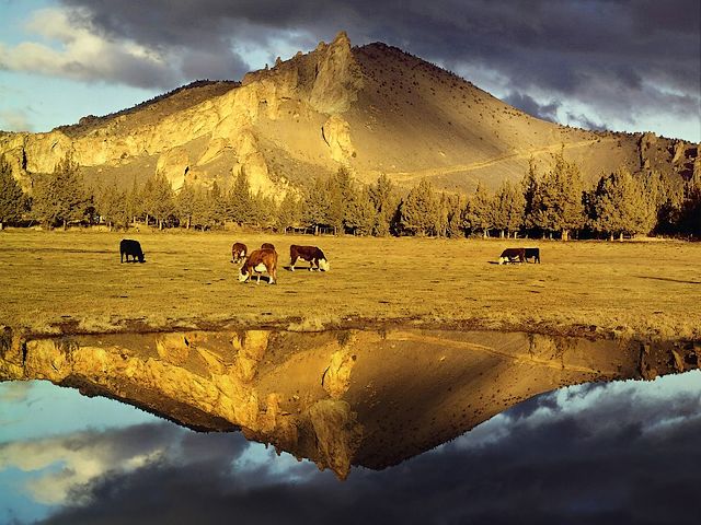 Mountain Reflection in Crooked River Smith Rock State Park Oregon - Beautiful picture with the mountain's reflection from the Cascade Range in the Crooked River, which meanders trough the Smith Rock State Park, located in high desert of central Oregon, near Redmond and Terrebonne. The area of the Smith Rock is well-known for its sheer cliffs of tuff and basalt and with over a thousand challenging routes for rock climbing of all difficulty levels. - , Mountain, Reflection, Crooked, river, rivers, Smith, Rock, State, park, parks, Oregon, nature, natures, places, place, travel, travels, tour, tours, trip, trips, sport, sports, beautiful, picture, pictures, desert, deserts, central, Redmond, Terrebonne, area, areas, sheer, cliffs, cliff, tuff, basalt, challenging, routes, route, rock, roks, climbing, difficulty, levels, level - Beautiful picture with the mountain's reflection from the Cascade Range in the Crooked River, which meanders trough the Smith Rock State Park, located in high desert of central Oregon, near Redmond and Terrebonne. The area of the Smith Rock is well-known for its sheer cliffs of tuff and basalt and with over a thousand challenging routes for rock climbing of all difficulty levels. Lösen Sie kostenlose Mountain Reflection in Crooked River Smith Rock State Park Oregon Online Puzzle Spiele oder senden Sie Mountain Reflection in Crooked River Smith Rock State Park Oregon Puzzle Spiel Gruß ecards  from puzzles-games.eu.. Mountain Reflection in Crooked River Smith Rock State Park Oregon puzzle, Rätsel, puzzles, Puzzle Spiele, puzzles-games.eu, puzzle games, Online Puzzle Spiele, kostenlose Puzzle Spiele, kostenlose Online Puzzle Spiele, Mountain Reflection in Crooked River Smith Rock State Park Oregon kostenlose Puzzle Spiel, Mountain Reflection in Crooked River Smith Rock State Park Oregon Online Puzzle Spiel, jigsaw puzzles, Mountain Reflection in Crooked River Smith Rock State Park Oregon jigsaw puzzle, jigsaw puzzle games, jigsaw puzzles games, Mountain Reflection in Crooked River Smith Rock State Park Oregon Puzzle Spiel ecard, Puzzles Spiele ecards, Mountain Reflection in Crooked River Smith Rock State Park Oregon Puzzle Spiel Gruß ecards