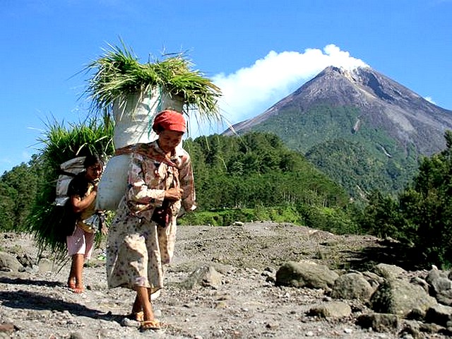 Volcano Indonesia Mount Merapi Indonesian Women with Bundles of Grass - Indonesian women with bundles of grass at the background of conical volcano on Mount Merapi, near Yogyakarta, Indonesia October 20, 2010). - , volcano, volcanoes, Indonesia, Mount, Merapi, indonesian, women, woman, bundles, bundle, grass, grasses, nature, natures, background, backgrounds, conical, Yogyakarta, Jakarta, October, 2010 - Indonesian women with bundles of grass at the background of conical volcano on Mount Merapi, near Yogyakarta, Indonesia October 20, 2010). Подреждайте безплатни онлайн Volcano Indonesia Mount Merapi Indonesian Women with Bundles of Grass пъзел игри или изпратете Volcano Indonesia Mount Merapi Indonesian Women with Bundles of Grass пъзел игра поздравителна картичка  от puzzles-games.eu.. Volcano Indonesia Mount Merapi Indonesian Women with Bundles of Grass пъзел, пъзели, пъзели игри, puzzles-games.eu, пъзел игри, online пъзел игри, free пъзел игри, free online пъзел игри, Volcano Indonesia Mount Merapi Indonesian Women with Bundles of Grass free пъзел игра, Volcano Indonesia Mount Merapi Indonesian Women with Bundles of Grass online пъзел игра, jigsaw puzzles, Volcano Indonesia Mount Merapi Indonesian Women with Bundles of Grass jigsaw puzzle, jigsaw puzzle games, jigsaw puzzles games, Volcano Indonesia Mount Merapi Indonesian Women with Bundles of Grass пъзел игра картичка, пъзели игри картички, Volcano Indonesia Mount Merapi Indonesian Women with Bundles of Grass пъзел игра поздравителна картичка