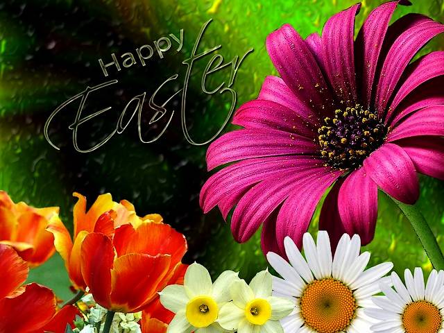easter 2011 greetings. Easter Greeting Card