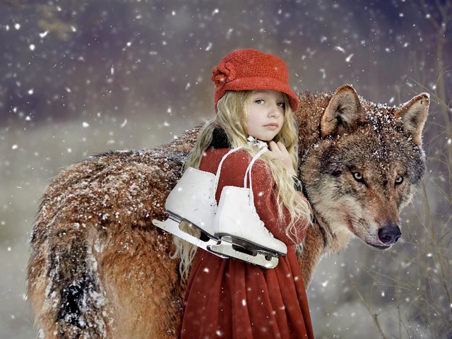 Girl with Red Hat and Wolf Wallpaper - Beautiful wallpaper with a modern adaptation  of the famous European fairy tale 'Little Red Riding Hood', the best known version which is written by Charles Perrault and the Brothers Grimm.<br />
According to the retelling, an adorable girl with skates, dressed in red coat and a red hat walks through the woods, accompanyed by a gorgeous grey wolf dog. - , girl, girls, red, hat, hats, wolf, wolves, wallpaper, wallpaper, cartoon, cartoons, beautiful, modern, adaptation, adaptations, famous, European, fairy, tale, tales, little, riding, hood, hoods, version, versions, Charles, Perrault, Brothers, Grimm, retelling, adorable, skates, coat, coats, hat, hats, woods, wood, gorgeous, grey, wolf, wolfs, dog, dogs - Beautiful wallpaper with a modern adaptation  of the famous European fairy tale 'Little Red Riding Hood', the best known version which is written by Charles Perrault and the Brothers Grimm.<br />
According to the retelling, an adorable girl with skates, dressed in red coat and a red hat walks through the woods, accompanyed by a gorgeous grey wolf dog. Подреждайте безплатни онлайн Girl with Red Hat and Wolf Wallpaper пъзел игри или изпратете Girl with Red Hat and Wolf Wallpaper пъзел игра поздравителна картичка  от puzzles-games.eu.. Girl with Red Hat and Wolf Wallpaper пъзел, пъзели, пъзели игри, puzzles-games.eu, пъзел игри, online пъзел игри, free пъзел игри, free online пъзел игри, Girl with Red Hat and Wolf Wallpaper free пъзел игра, Girl with Red Hat and Wolf Wallpaper online пъзел игра, jigsaw puzzles, Girl with Red Hat and Wolf Wallpaper jigsaw puzzle, jigsaw puzzle games, jigsaw puzzles games, Girl with Red Hat and Wolf Wallpaper пъзел игра картичка, пъзели игри картички, Girl with Red Hat and Wolf Wallpaper пъзел игра поздравителна картичка