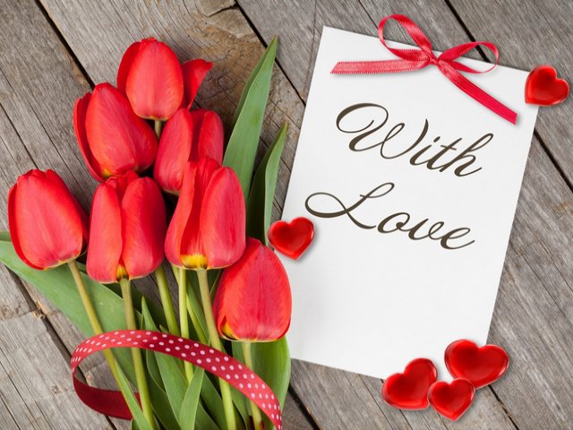 Valentines Love Note Wallpaper - Wallpaper with bouquet of red tulips and a romantic love note for Valentine's Day. In many countries around the world, each year on February 14, is celebrated the feast of Saint Valentine, or commonly known as Valentine’s Day, by all the couples who are in love with their partners. It’s a day of love and people do their best to make this day memorable for them. - , wallpaper, wallpapers, Valentines, love, note, notes, cartoon, cartoons, holiday, holidays, bouquet, bouquets, red, tulips, tulip, romantic, day, days, countries, country, world, year, years, February, feast, feasts, Saint, Valentine, couples, couple, partners, partner, people, memorable - Wallpaper with bouquet of red tulips and a romantic love note for Valentine's Day. In many countries around the world, each year on February 14, is celebrated the feast of Saint Valentine, or commonly known as Valentine’s Day, by all the couples who are in love with their partners. It’s a day of love and people do their best to make this day memorable for them. Подреждайте безплатни онлайн Valentines Love Note Wallpaper пъзел игри или изпратете Valentines Love Note Wallpaper пъзел игра поздравителна картичка  от puzzles-games.eu.. Valentines Love Note Wallpaper пъзел, пъзели, пъзели игри, puzzles-games.eu, пъзел игри, online пъзел игри, free пъзел игри, free online пъзел игри, Valentines Love Note Wallpaper free пъзел игра, Valentines Love Note Wallpaper online пъзел игра, jigsaw puzzles, Valentines Love Note Wallpaper jigsaw puzzle, jigsaw puzzle games, jigsaw puzzles games, Valentines Love Note Wallpaper пъзел игра картичка, пъзели игри картички, Valentines Love Note Wallpaper пъзел игра поздравителна картичка