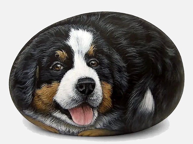 Handpainted Bernese Mountain Dog on Stone puzzle game 