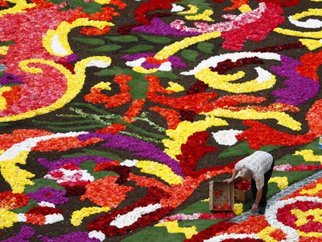 Flower Carpet - A giant flower carpet with floral decoration at the Grand Palace in Brussel, Belgium. - , flower, carpet, carpets, flowers, decoration, decorations, Brussel, Belgium - A giant flower carpet with floral decoration at the Grand Palace in Brussel, Belgium. Solve free online Flower Carpet puzzle games or send Flower Carpet puzzle game greeting ecards  from puzzles-games.eu.. Flower Carpet puzzle, puzzles, puzzles games, puzzles-games.eu, puzzle games, online puzzle games, free puzzle games, free online puzzle games, Flower Carpet free puzzle game, Flower Carpet online puzzle game, jigsaw puzzles, Flower Carpet jigsaw puzzle, jigsaw puzzle games, jigsaw puzzles games, Flower Carpet puzzle game ecard, puzzles games ecards, Flower Carpet puzzle game greeting ecard