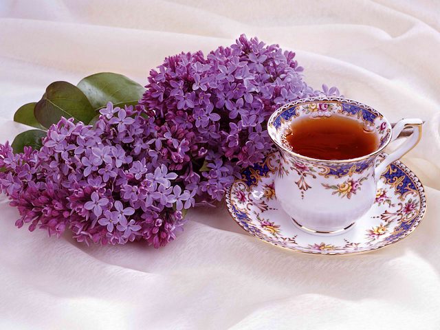 Lilac and Cup of Tea Spring Still Life - Beautiful spring still-life with a cup of tea and gentle purple lilac blossoms. With the language of flowers, the lilac symbolizes youthful innocence and confidence. The white lilac symbolizes humility and the innocence, while the purple blossoms are a symbol of the emotions of first love. - , lilac, cup, cups, tea, spring, still, life, flowers, flower, beautiful, gentle, purple, blossoms, blossom, language, languages, youthful, innocence, confidence, white, humility, purple, symbol, symbols, emotions, emotion, first, love - Beautiful spring still-life with a cup of tea and gentle purple lilac blossoms. With the language of flowers, the lilac symbolizes youthful innocence and confidence. The white lilac symbolizes humility and the innocence, while the purple blossoms are a symbol of the emotions of first love. Resuelve rompecabezas en línea gratis Lilac and Cup of Tea Spring Still Life juegos puzzle o enviar Lilac and Cup of Tea Spring Still Life juego de puzzle tarjetas electrónicas de felicitación  de puzzles-games.eu.. Lilac and Cup of Tea Spring Still Life puzzle, puzzles, rompecabezas juegos, puzzles-games.eu, juegos de puzzle, juegos en línea del rompecabezas, juegos gratis puzzle, juegos en línea gratis rompecabezas, Lilac and Cup of Tea Spring Still Life juego de puzzle gratuito, Lilac and Cup of Tea Spring Still Life juego de rompecabezas en línea, jigsaw puzzles, Lilac and Cup of Tea Spring Still Life jigsaw puzzle, jigsaw puzzle games, jigsaw puzzles games, Lilac and Cup of Tea Spring Still Life rompecabezas de juego tarjeta electrónica, juegos de puzzles tarjetas electrónicas, Lilac and Cup of Tea Spring Still Life puzzle tarjeta electrónica de felicitación