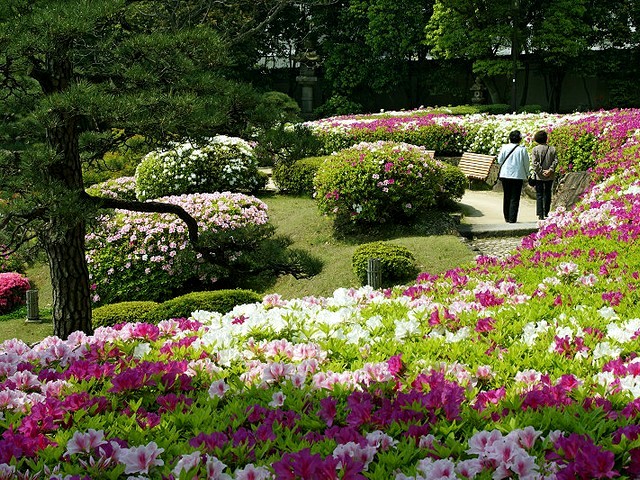 Rhododendrons in Sorakuen Garden - People enjoy the sunny day walking among blooming rhododendrons in Sorakuen Garden, Kobe, Japan. - , rhododendrons, rhododendron, Sorakuen, garden, flower, flowers, day, days, Kobe, Japan - People enjoy the sunny day walking among blooming rhododendrons in Sorakuen Garden, Kobe, Japan. Подреждайте безплатни онлайн Rhododendrons in Sorakuen Garden пъзел игри или изпратете Rhododendrons in Sorakuen Garden пъзел игра поздравителна картичка  от puzzles-games.eu.. Rhododendrons in Sorakuen Garden пъзел, пъзели, пъзели игри, puzzles-games.eu, пъзел игри, online пъзел игри, free пъзел игри, free online пъзел игри, Rhododendrons in Sorakuen Garden free пъзел игра, Rhododendrons in Sorakuen Garden online пъзел игра, jigsaw puzzles, Rhododendrons in Sorakuen Garden jigsaw puzzle, jigsaw puzzle games, jigsaw puzzles games, Rhododendrons in Sorakuen Garden пъзел игра картичка, пъзели игри картички, Rhododendrons in Sorakuen Garden пъзел игра поздравителна картичка
