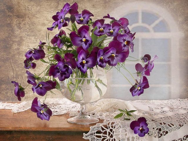 Romantic Still-life - A romantic still-life with a bouquet of wild purple violets in an elegant glass cup with water on an amazingly nice lace table-cloth infront of a pretty window. - , romantic, still-life, flowers, flower, bouquet, bouquets, wild, purple, violets, violet, elegant, glass, cup, cups, water, amazingly, nice, lace, laces, table, cloth, cloths, pretty, window, windows - A romantic still-life with a bouquet of wild purple violets in an elegant glass cup with water on an amazingly nice lace table-cloth infront of a pretty window. Lösen Sie kostenlose Romantic Still-life Online Puzzle Spiele oder senden Sie Romantic Still-life Puzzle Spiel Gruß ecards  from puzzles-games.eu.. Romantic Still-life puzzle, Rätsel, puzzles, Puzzle Spiele, puzzles-games.eu, puzzle games, Online Puzzle Spiele, kostenlose Puzzle Spiele, kostenlose Online Puzzle Spiele, Romantic Still-life kostenlose Puzzle Spiel, Romantic Still-life Online Puzzle Spiel, jigsaw puzzles, Romantic Still-life jigsaw puzzle, jigsaw puzzle games, jigsaw puzzles games, Romantic Still-life Puzzle Spiel ecard, Puzzles Spiele ecards, Romantic Still-life Puzzle Spiel Gruß ecards