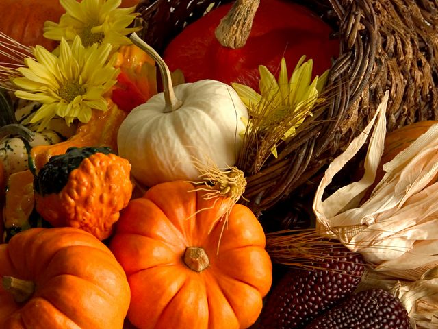 Autumn Harvest Wallpaper - A beautiful wallpaper with fruits and vegetables from the autumn harvest, which have preserved the warm colours of the sun. - , autumn, autumns, harvest, harvests, wallpaper, wallpapers, food, foods, cartoon, cartoons, season, seasons, nature, natures, beautiful, fruits, fruit, vegetables, vegetable, warm, colours, colour, sun, suns - A beautiful wallpaper with fruits and vegetables from the autumn harvest, which have preserved the warm colours of the sun. Подреждайте безплатни онлайн Autumn Harvest Wallpaper пъзел игри или изпратете Autumn Harvest Wallpaper пъзел игра поздравителна картичка  от puzzles-games.eu.. Autumn Harvest Wallpaper пъзел, пъзели, пъзели игри, puzzles-games.eu, пъзел игри, online пъзел игри, free пъзел игри, free online пъзел игри, Autumn Harvest Wallpaper free пъзел игра, Autumn Harvest Wallpaper online пъзел игра, jigsaw puzzles, Autumn Harvest Wallpaper jigsaw puzzle, jigsaw puzzle games, jigsaw puzzles games, Autumn Harvest Wallpaper пъзел игра картичка, пъзели игри картички, Autumn Harvest Wallpaper пъзел игра поздравителна картичка