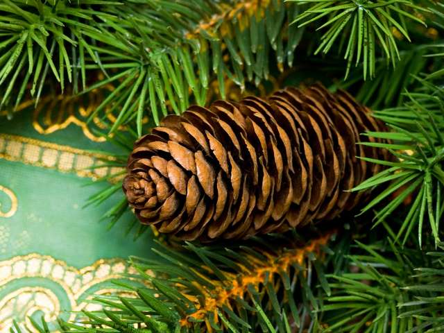 Christmas Decoration with Pinecone - Beautiful Christmas decoration with  pinecone and green twigs. - , Christmas, decoration, decorations, pinecone, pinecones, holiday, holidays, feast, feasts, festivity, festivities, celebration, celebrations, seasons, season, beautiful, green, twigs, twig - Beautiful Christmas decoration with  pinecone and green twigs. Lösen Sie kostenlose Christmas Decoration with Pinecone Online Puzzle Spiele oder senden Sie Christmas Decoration with Pinecone Puzzle Spiel Gruß ecards  from puzzles-games.eu.. Christmas Decoration with Pinecone puzzle, Rätsel, puzzles, Puzzle Spiele, puzzles-games.eu, puzzle games, Online Puzzle Spiele, kostenlose Puzzle Spiele, kostenlose Online Puzzle Spiele, Christmas Decoration with Pinecone kostenlose Puzzle Spiel, Christmas Decoration with Pinecone Online Puzzle Spiel, jigsaw puzzles, Christmas Decoration with Pinecone jigsaw puzzle, jigsaw puzzle games, jigsaw puzzles games, Christmas Decoration with Pinecone Puzzle Spiel ecard, Puzzles Spiele ecards, Christmas Decoration with Pinecone Puzzle Spiel Gruß ecards