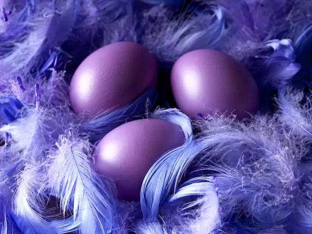 Easter Eggs on Feathers Nest puzzle game 