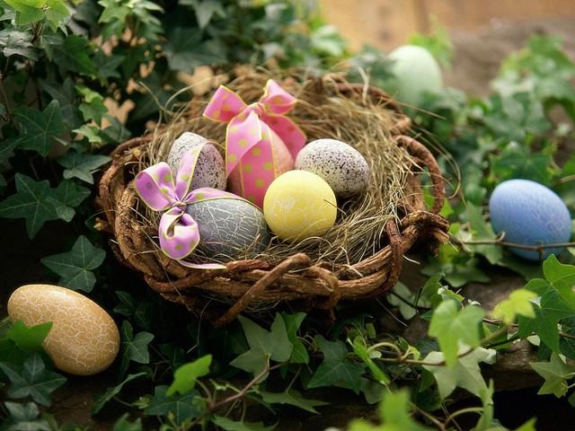 Eggs in a Nest - Eggs in a nest stand for a new life nature wake up. - , Eggs, nest, holidays, holiday, celebration, fest - Eggs in a nest stand for a new life nature wake up. Lösen Sie kostenlose Eggs in a Nest Online Puzzle Spiele oder senden Sie Eggs in a Nest Puzzle Spiel Gruß ecards  from puzzles-games.eu.. Eggs in a Nest puzzle, Rätsel, puzzles, Puzzle Spiele, puzzles-games.eu, puzzle games, Online Puzzle Spiele, kostenlose Puzzle Spiele, kostenlose Online Puzzle Spiele, Eggs in a Nest kostenlose Puzzle Spiel, Eggs in a Nest Online Puzzle Spiel, jigsaw puzzles, Eggs in a Nest jigsaw puzzle, jigsaw puzzle games, jigsaw puzzles games, Eggs in a Nest Puzzle Spiel ecard, Puzzles Spiele ecards, Eggs in a Nest Puzzle Spiel Gruß ecards