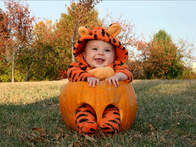Halloween Baby in Tigger Costume - Beautiful  baby, sitting on carved in pumpkin chair, dressed in a Halloween costume as Tigger, popular animated Walt Disney's character, from the cartoon series with Winnie the Pooh. - , Halloween, baby, babies, Tigger, costume, costumes, holiday, holidays, feast, feasts, party, parties, festivity, festivities, celebration, celebrations, beautiful, carved, pumpkin, pumpkins, chair, chairs, popular, animated, Walt, Disney, characters, character, cartoon, cartoons, series, serie, Winnie, Pooh - Beautiful  baby, sitting on carved in pumpkin chair, dressed in a Halloween costume as Tigger, popular animated Walt Disney's character, from the cartoon series with Winnie the Pooh. Lösen Sie kostenlose Halloween Baby in Tigger Costume Online Puzzle Spiele oder senden Sie Halloween Baby in Tigger Costume Puzzle Spiel Gruß ecards  from puzzles-games.eu.. Halloween Baby in Tigger Costume puzzle, Rätsel, puzzles, Puzzle Spiele, puzzles-games.eu, puzzle games, Online Puzzle Spiele, kostenlose Puzzle Spiele, kostenlose Online Puzzle Spiele, Halloween Baby in Tigger Costume kostenlose Puzzle Spiel, Halloween Baby in Tigger Costume Online Puzzle Spiel, jigsaw puzzles, Halloween Baby in Tigger Costume jigsaw puzzle, jigsaw puzzle games, jigsaw puzzles games, Halloween Baby in Tigger Costume Puzzle Spiel ecard, Puzzles Spiele ecards, Halloween Baby in Tigger Costume Puzzle Spiel Gruß ecards