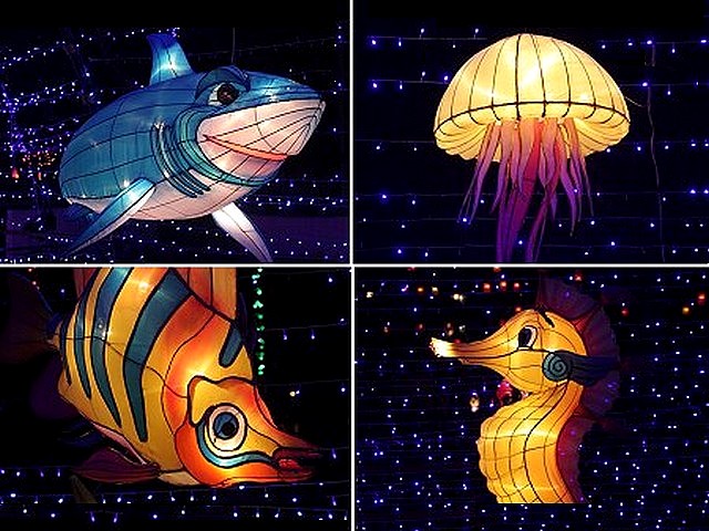Lantern Festival Aquarium at Municipality Park in Hat Yai Thailand - Lanterns from the 'Aquarium' section with various aquatic animals as a shark, jellyfish, clownfish and seahorse, during the Lantern Festival at Municipality Park in Hat Yai, Songkhla Province, Thailand  (Feb 17, 2009). - , lantern, lanterns, festival, festivals, aquarium, aquariums, Municipality, Park, parks, Hat, Yai, Thailand, holidays, holiday, show, shows, celebrations, celebration, places, place, travel, travels, tour, tours, trips, trip, excursion, excursions, section, sections, aquatic, animals, animal, shark, sharks, jellyfish, clownfish, seahorse, seahorses, Songkhla, Province, provinces, 2009 - Lanterns from the 'Aquarium' section with various aquatic animals as a shark, jellyfish, clownfish and seahorse, during the Lantern Festival at Municipality Park in Hat Yai, Songkhla Province, Thailand  (Feb 17, 2009). Lösen Sie kostenlose Lantern Festival Aquarium at Municipality Park in Hat Yai Thailand Online Puzzle Spiele oder senden Sie Lantern Festival Aquarium at Municipality Park in Hat Yai Thailand Puzzle Spiel Gruß ecards  from puzzles-games.eu.. Lantern Festival Aquarium at Municipality Park in Hat Yai Thailand puzzle, Rätsel, puzzles, Puzzle Spiele, puzzles-games.eu, puzzle games, Online Puzzle Spiele, kostenlose Puzzle Spiele, kostenlose Online Puzzle Spiele, Lantern Festival Aquarium at Municipality Park in Hat Yai Thailand kostenlose Puzzle Spiel, Lantern Festival Aquarium at Municipality Park in Hat Yai Thailand Online Puzzle Spiel, jigsaw puzzles, Lantern Festival Aquarium at Municipality Park in Hat Yai Thailand jigsaw puzzle, jigsaw puzzle games, jigsaw puzzles games, Lantern Festival Aquarium at Municipality Park in Hat Yai Thailand Puzzle Spiel ecard, Puzzles Spiele ecards, Lantern Festival Aquarium at Municipality Park in Hat Yai Thailand Puzzle Spiel Gruß ecards