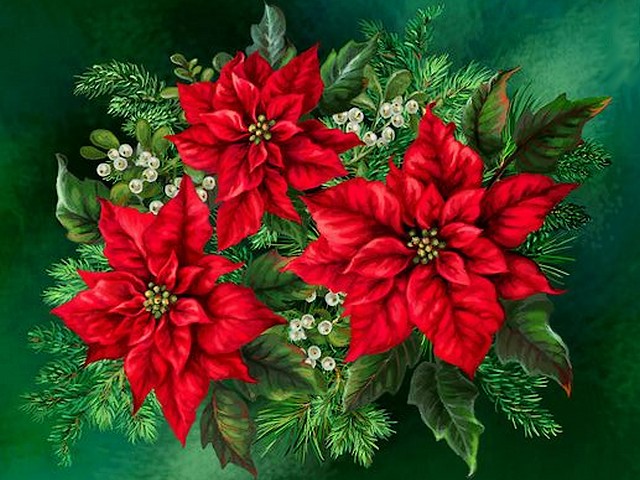 Scarlet poinsettia Wallpaper - Festive wallpaper with scarlet poinsettia, painted by Dona Gelsinger.<br />
The poinsettia is named for Joel Poinsett, the first U.S. minister to Mexico, who brought the plants home in 1825. <br />
The poinsettia (Christmas Star) is known for its red and green foliage and is widely used in Christmas floral decoration. - , scarlet, poinsettia, poinsettias, wallpaper, wallpapers, holiday, holidays, art, arts, festive, Dona, Gelsinger, Joel, Poinsett, U.S., minister, ministers, Mexico, plants, plant, home, homes, 1825, Christmas, Star, stars, red, green, foliage, floral, decoration, decorations - Festive wallpaper with scarlet poinsettia, painted by Dona Gelsinger.<br />
The poinsettia is named for Joel Poinsett, the first U.S. minister to Mexico, who brought the plants home in 1825. <br />
The poinsettia (Christmas Star) is known for its red and green foliage and is widely used in Christmas floral decoration. Resuelve rompecabezas en línea gratis Scarlet poinsettia Wallpaper juegos puzzle o enviar Scarlet poinsettia Wallpaper juego de puzzle tarjetas electrónicas de felicitación  de puzzles-games.eu.. Scarlet poinsettia Wallpaper puzzle, puzzles, rompecabezas juegos, puzzles-games.eu, juegos de puzzle, juegos en línea del rompecabezas, juegos gratis puzzle, juegos en línea gratis rompecabezas, Scarlet poinsettia Wallpaper juego de puzzle gratuito, Scarlet poinsettia Wallpaper juego de rompecabezas en línea, jigsaw puzzles, Scarlet poinsettia Wallpaper jigsaw puzzle, jigsaw puzzle games, jigsaw puzzles games, Scarlet poinsettia Wallpaper rompecabezas de juego tarjeta electrónica, juegos de puzzles tarjetas electrónicas, Scarlet poinsettia Wallpaper puzzle tarjeta electrónica de felicitación