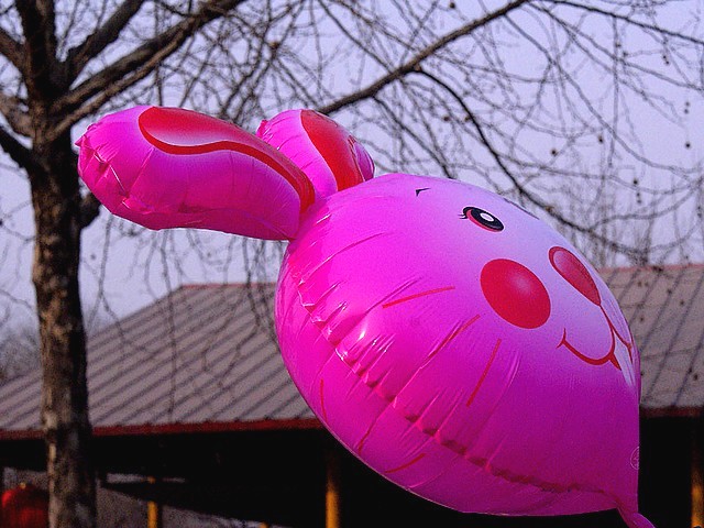 Spring Festival Rabbit Balloon in Xingtai Park Hebei China - Balloon in the shape of rabbit attracts people's attention, during the celebrations of the Spring Festival in Xingtai Park, Hebei province, China (Feb 3, 2011). - , spring, festival, festivals, rabbit, rabbits, balloon, balloons, Xingtai, park, parks, Hebei, China, holidays, holiday, celebrations, celebration, show, shows, places, place, travel, travels, tour, tours, trips, trip, excursion, excursions, shape, shapes, people, attention, attentions, province, provinces - Balloon in the shape of rabbit attracts people's attention, during the celebrations of the Spring Festival in Xingtai Park, Hebei province, China (Feb 3, 2011). Решайте бесплатные онлайн Spring Festival Rabbit Balloon in Xingtai Park Hebei China пазлы игры или отправьте Spring Festival Rabbit Balloon in Xingtai Park Hebei China пазл игру приветственную открытку  из puzzles-games.eu.. Spring Festival Rabbit Balloon in Xingtai Park Hebei China пазл, пазлы, пазлы игры, puzzles-games.eu, пазл игры, онлайн пазл игры, игры пазлы бесплатно, бесплатно онлайн пазл игры, Spring Festival Rabbit Balloon in Xingtai Park Hebei China бесплатно пазл игра, Spring Festival Rabbit Balloon in Xingtai Park Hebei China онлайн пазл игра , jigsaw puzzles, Spring Festival Rabbit Balloon in Xingtai Park Hebei China jigsaw puzzle, jigsaw puzzle games, jigsaw puzzles games, Spring Festival Rabbit Balloon in Xingtai Park Hebei China пазл игра открытка, пазлы игры открытки, Spring Festival Rabbit Balloon in Xingtai Park Hebei China пазл игра приветственная открытка