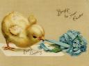 Easter Chicken Vintage Postcard