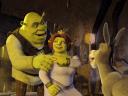 Shrek Newly-weds