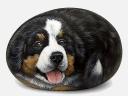 Handpainted Bernese Mountain Dog on Stone