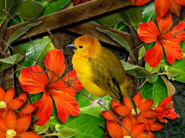 Fox Weaver among Hibiscus пъзел игра 