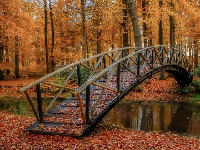 Autumn in Park Brummen Netherlands puzzle game 