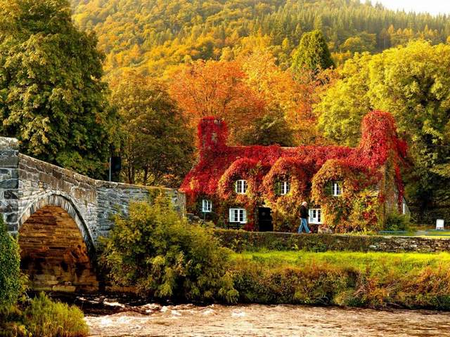 Autumn in Snowdonia National Park Llanrwst Wales UK - Marvellous autumn landscape of Snowdonia National Park in Llanrwst, North Wales, UK, with Pont Fawr, a narrow stone bridge with three arches over the Afon Conwy river and a picturesque cottage from the 15th century, which houses courthouse, covered with a copper-red ivy.<br />
Llanrwst is a small town in Conwy County Borough, Wales, which develops around the wool trade. The stone bridge Pont Fawr was built in 1636 and connects the town with Gwydir manor house. Snowdonia National Park covers 823 square miles of North-West Wales, and possess ones of the best areas in the UK for cycling and mountain biking. - , autumn, Snowdonia, National, Park, parks, Llanrwst, Wales, UK, nature, natures, places, place, marvellous, landscape, landscapes, North, Pont, Fawr, narrow, stone, bridges, bridge, arches, arch, Afon, Conwy, river, rivers, picturesque, cottage, cottages, 15th, century, courthouse, copper, red, ivy, town, towns, Conwy, County, Borough, wool, trade, Gwydir, manor, house, houses, areas, area, cycling, mountain, biking - Marvellous autumn landscape of Snowdonia National Park in Llanrwst, North Wales, UK, with Pont Fawr, a narrow stone bridge with three arches over the Afon Conwy river and a picturesque cottage from the 15th century, which houses courthouse, covered with a copper-red ivy.<br />
Llanrwst is a small town in Conwy County Borough, Wales, which develops around the wool trade. The stone bridge Pont Fawr was built in 1636 and connects the town with Gwydir manor house. Snowdonia National Park covers 823 square miles of North-West Wales, and possess ones of the best areas in the UK for cycling and mountain biking. Solve free online Autumn in Snowdonia National Park Llanrwst Wales UK puzzle games or send Autumn in Snowdonia National Park Llanrwst Wales UK puzzle game greeting ecards  from puzzles-games.eu.. Autumn in Snowdonia National Park Llanrwst Wales UK puzzle, puzzles, puzzles games, puzzles-games.eu, puzzle games, online puzzle games, free puzzle games, free online puzzle games, Autumn in Snowdonia National Park Llanrwst Wales UK free puzzle game, Autumn in Snowdonia National Park Llanrwst Wales UK online puzzle game, jigsaw puzzles, Autumn in Snowdonia National Park Llanrwst Wales UK jigsaw puzzle, jigsaw puzzle games, jigsaw puzzles games, Autumn in Snowdonia National Park Llanrwst Wales UK puzzle game ecard, puzzles games ecards, Autumn in Snowdonia National Park Llanrwst Wales UK puzzle game greeting ecard