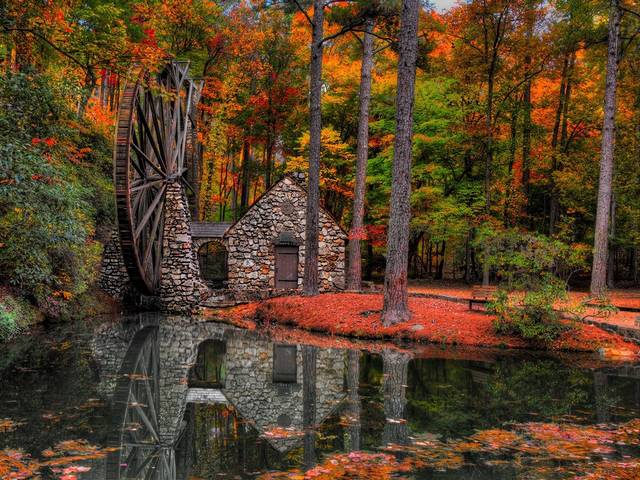 Fall Colors Old Mill Berry College Rome Georgia USA - Beautiful landscape with fall colors of the Old Mill, located on the property of  Berry College of arts in Mount Berry, just north of Rome, Georgia, USA. The extra-large wooden wheel and the stone house of the Old Mill at Berry College was constructed in 1930 by student workers and completely rebuilt during 1977's. The waterwheel of the Old Mill is considered one of the largest in the world with its 42 feet in diameter and three feet in width. The water arrives from the Berry lake and by force of gravity the wheel turns. Producing cornmeal, grits and wheat, which were locally grown at the college, helped to feed students during the Depression Era. - , fall, colors, color, old, mill, mills, Berry, college, colleges, Rome, Georgia, USA, nature, natures, places, place, beautiful, landscape, landscapes, property, properties, Mount, wooden, wheel, wheels, stone, house, houses, student, students, workers, worker, world, diameter, width, water, lake, lakes, force, gravity, cornmeal, grits, wheat, Depression, Era - Beautiful landscape with fall colors of the Old Mill, located on the property of  Berry College of arts in Mount Berry, just north of Rome, Georgia, USA. The extra-large wooden wheel and the stone house of the Old Mill at Berry College was constructed in 1930 by student workers and completely rebuilt during 1977's. The waterwheel of the Old Mill is considered one of the largest in the world with its 42 feet in diameter and three feet in width. The water arrives from the Berry lake and by force of gravity the wheel turns. Producing cornmeal, grits and wheat, which were locally grown at the college, helped to feed students during the Depression Era. Solve free online Fall Colors Old Mill Berry College Rome Georgia USA puzzle games or send Fall Colors Old Mill Berry College Rome Georgia USA puzzle game greeting ecards  from puzzles-games.eu.. Fall Colors Old Mill Berry College Rome Georgia USA puzzle, puzzles, puzzles games, puzzles-games.eu, puzzle games, online puzzle games, free puzzle games, free online puzzle games, Fall Colors Old Mill Berry College Rome Georgia USA free puzzle game, Fall Colors Old Mill Berry College Rome Georgia USA online puzzle game, jigsaw puzzles, Fall Colors Old Mill Berry College Rome Georgia USA jigsaw puzzle, jigsaw puzzle games, jigsaw puzzles games, Fall Colors Old Mill Berry College Rome Georgia USA puzzle game ecard, puzzles games ecards, Fall Colors Old Mill Berry College Rome Georgia USA puzzle game greeting ecard