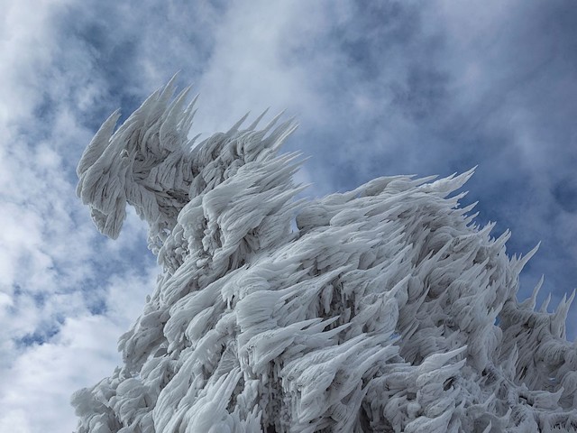 Ice Dragon by Marko Korosec - A surreal sculpture of ice dragon, formed on ice coated pine. The stunning picture was taken by photographer Marko Korosec, after nine days storm subjected the Slovenia's Mount Javornik, a popular skiing spot, to strong winds, snow and ice on December 2014. - , ice, dragon, dragons, Marko, Korosec, nature, surreal, sculpture, sculptures, pine, pines, stunning, picture, pictures, photographer, days, day, storm, storms, Slovenia, Mount, Javornik, popular, skiing, spot, winds, wind, snow, December, 2014 - A surreal sculpture of ice dragon, formed on ice coated pine. The stunning picture was taken by photographer Marko Korosec, after nine days storm subjected the Slovenia's Mount Javornik, a popular skiing spot, to strong winds, snow and ice on December 2014. Подреждайте безплатни онлайн Ice Dragon by Marko Korosec пъзел игри или изпратете Ice Dragon by Marko Korosec пъзел игра поздравителна картичка  от puzzles-games.eu.. Ice Dragon by Marko Korosec пъзел, пъзели, пъзели игри, puzzles-games.eu, пъзел игри, online пъзел игри, free пъзел игри, free online пъзел игри, Ice Dragon by Marko Korosec free пъзел игра, Ice Dragon by Marko Korosec online пъзел игра, jigsaw puzzles, Ice Dragon by Marko Korosec jigsaw puzzle, jigsaw puzzle games, jigsaw puzzles games, Ice Dragon by Marko Korosec пъзел игра картичка, пъзели игри картички, Ice Dragon by Marko Korosec пъзел игра поздравителна картичка
