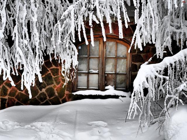 Window with Frosty Branches Wallpaper - Lovely wallpaper of winter landscape with snowbound window and frosty tree branches in front of a village old house overlooking the garden covered by snow. - , window, windows, frosty, branches, branch, wallpaper, wallpapers, lovely, winter, landscape, snowbound, tree, trees, village, house, houses, garden, gardens, snow - Lovely wallpaper of winter landscape with snowbound window and frosty tree branches in front of a village old house overlooking the garden covered by snow. Resuelve rompecabezas en línea gratis Window with Frosty Branches Wallpaper juegos puzzle o enviar Window with Frosty Branches Wallpaper juego de puzzle tarjetas electrónicas de felicitación  de puzzles-games.eu.. Window with Frosty Branches Wallpaper puzzle, puzzles, rompecabezas juegos, puzzles-games.eu, juegos de puzzle, juegos en línea del rompecabezas, juegos gratis puzzle, juegos en línea gratis rompecabezas, Window with Frosty Branches Wallpaper juego de puzzle gratuito, Window with Frosty Branches Wallpaper juego de rompecabezas en línea, jigsaw puzzles, Window with Frosty Branches Wallpaper jigsaw puzzle, jigsaw puzzle games, jigsaw puzzles games, Window with Frosty Branches Wallpaper rompecabezas de juego tarjeta electrónica, juegos de puzzles tarjetas electrónicas, Window with Frosty Branches Wallpaper puzzle tarjeta electrónica de felicitación
