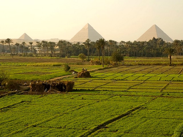 Pyramids of Giza across Fertile Field Cairo Egypt - A beautiful view of the Pyramids of Giza across a fertile field near the Nile River. The rich fertile soil resulting from annual inundations of the Nile River and the meshwork of ditches and canals for irrigation, gave the ancient Egyptians possibility to produce an abundance of food and to devote more time and resources to cultural, technological, and artistic pursuits, which were contributed to the success of the ancient Egypt. - , pyramids, pyramid, Giza, fertile, field, fields, Cairo, Egypt, places, place, travel, travels, tour, tours, trip, trips, beautiful, view, views, Nile, river, rivers, rich, soil, soils, annual, inundations, inundation, meshwork, ditches, ditch, canals, canal, irrigation, irrigations, ancient, Egyptians, Egyptian, possibility, possibilities, abundance, food, foods, time, times, resources, resource, cultural, technological, artistic, pursuits, pursuit, success, successes - A beautiful view of the Pyramids of Giza across a fertile field near the Nile River. The rich fertile soil resulting from annual inundations of the Nile River and the meshwork of ditches and canals for irrigation, gave the ancient Egyptians possibility to produce an abundance of food and to devote more time and resources to cultural, technological, and artistic pursuits, which were contributed to the success of the ancient Egypt. Solve free online Pyramids of Giza across Fertile Field Cairo Egypt puzzle games or send Pyramids of Giza across Fertile Field Cairo Egypt puzzle game greeting ecards  from puzzles-games.eu.. Pyramids of Giza across Fertile Field Cairo Egypt puzzle, puzzles, puzzles games, puzzles-games.eu, puzzle games, online puzzle games, free puzzle games, free online puzzle games, Pyramids of Giza across Fertile Field Cairo Egypt free puzzle game, Pyramids of Giza across Fertile Field Cairo Egypt online puzzle game, jigsaw puzzles, Pyramids of Giza across Fertile Field Cairo Egypt jigsaw puzzle, jigsaw puzzle games, jigsaw puzzles games, Pyramids of Giza across Fertile Field Cairo Egypt puzzle game ecard, puzzles games ecards, Pyramids of Giza across Fertile Field Cairo Egypt puzzle game greeting ecard