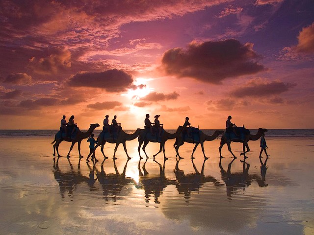 Caravan Reflections Sahara Desert Africa Wallpaper - A lovely wallpaper with reflections of caravan camels and silhouettes of people at sunset, during a trip to the Sahara desert, Africa. - , caravan, caravans, reflections, reflection, Sahara, desert, deserts, Africa, wallpaper, wallpapers, cartoons, cartoon, nature, natures, place, places, travel, travels, tour, tours, trip, trips, lovely, camels, camel, silhouettes, silhouett, people, sunset, sunsets - A lovely wallpaper with reflections of caravan camels and silhouettes of people at sunset, during a trip to the Sahara desert, Africa. Lösen Sie kostenlose Caravan Reflections Sahara Desert Africa Wallpaper Online Puzzle Spiele oder senden Sie Caravan Reflections Sahara Desert Africa Wallpaper Puzzle Spiel Gruß ecards  from puzzles-games.eu.. Caravan Reflections Sahara Desert Africa Wallpaper puzzle, Rätsel, puzzles, Puzzle Spiele, puzzles-games.eu, puzzle games, Online Puzzle Spiele, kostenlose Puzzle Spiele, kostenlose Online Puzzle Spiele, Caravan Reflections Sahara Desert Africa Wallpaper kostenlose Puzzle Spiel, Caravan Reflections Sahara Desert Africa Wallpaper Online Puzzle Spiel, jigsaw puzzles, Caravan Reflections Sahara Desert Africa Wallpaper jigsaw puzzle, jigsaw puzzle games, jigsaw puzzles games, Caravan Reflections Sahara Desert Africa Wallpaper Puzzle Spiel ecard, Puzzles Spiele ecards, Caravan Reflections Sahara Desert Africa Wallpaper Puzzle Spiel Gruß ecards