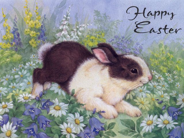 Easter Bunny Greeting Card - Beautiful greeting card for a 'Happy Easter' with an adorable bunny on meadow with lovely daisies, lit up by the spring sun.<br />
The Easter Bunny and Easter eggs are symbols of the Easter, the coming of spring and the fertility. Easter is a time for renewal and rebirth. - , Easter, bunny, bunnies, greeting, greetings, card, cards, cartoon, cartoons, holiday, holidays, beautiful, happy, adorable, meadow, meadows, daisies, daisy, spring, sun, eggs, egg, symbols, symbol, fertility, time, times, renewal, rebirth - Beautiful greeting card for a 'Happy Easter' with an adorable bunny on meadow with lovely daisies, lit up by the spring sun.<br />
The Easter Bunny and Easter eggs are symbols of the Easter, the coming of spring and the fertility. Easter is a time for renewal and rebirth. Solve free online Easter Bunny Greeting Card puzzle games or send Easter Bunny Greeting Card puzzle game greeting ecards  from puzzles-games.eu.. Easter Bunny Greeting Card puzzle, puzzles, puzzles games, puzzles-games.eu, puzzle games, online puzzle games, free puzzle games, free online puzzle games, Easter Bunny Greeting Card free puzzle game, Easter Bunny Greeting Card online puzzle game, jigsaw puzzles, Easter Bunny Greeting Card jigsaw puzzle, jigsaw puzzle games, jigsaw puzzles games, Easter Bunny Greeting Card puzzle game ecard, puzzles games ecards, Easter Bunny Greeting Card puzzle game greeting ecard