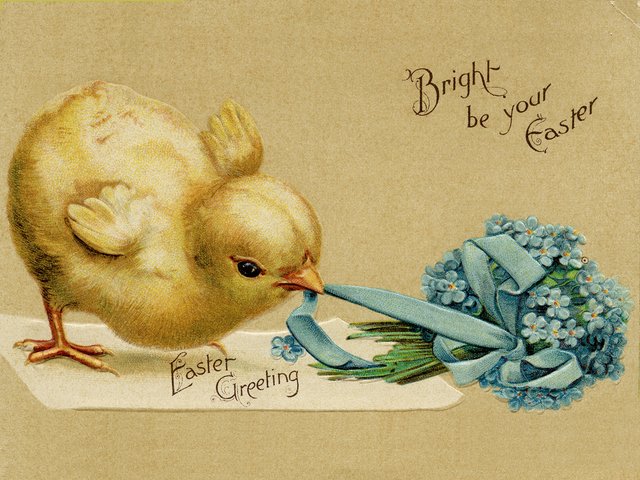 Easter Chicken Vintage Postcard - Beautiful vintage postcard with greetings for a 'Happy Easter' and a fluffy chicken, which pulls a blue ribbon, tied to a small bouquet of pretty spring flowers. The newborn adorable chickens and flowers are common symbols of Easter, which is always celebrated during the period of vernal equinox. They symbolize the beginning of the new life, and are an acknowledgement of the arrival of spring. - , Easter, chicken, chicken, vintage, postcard, postcards, cartoon, cartoons, holiday, holidays, beautiful, greetings, greeting, happy, fluffy, blue, ribbon, ribbons, bouquet, bouquets, pretty, spring, flowers, flower, newborn, adorable, symbols, symbol, period, periods, vernal, equinox, beginning, new, life, acknowledgement, acknowledgements, arrival - Beautiful vintage postcard with greetings for a 'Happy Easter' and a fluffy chicken, which pulls a blue ribbon, tied to a small bouquet of pretty spring flowers. The newborn adorable chickens and flowers are common symbols of Easter, which is always celebrated during the period of vernal equinox. They symbolize the beginning of the new life, and are an acknowledgement of the arrival of spring. Lösen Sie kostenlose Easter Chicken Vintage Postcard Online Puzzle Spiele oder senden Sie Easter Chicken Vintage Postcard Puzzle Spiel Gruß ecards  from puzzles-games.eu.. Easter Chicken Vintage Postcard puzzle, Rätsel, puzzles, Puzzle Spiele, puzzles-games.eu, puzzle games, Online Puzzle Spiele, kostenlose Puzzle Spiele, kostenlose Online Puzzle Spiele, Easter Chicken Vintage Postcard kostenlose Puzzle Spiel, Easter Chicken Vintage Postcard Online Puzzle Spiel, jigsaw puzzles, Easter Chicken Vintage Postcard jigsaw puzzle, jigsaw puzzle games, jigsaw puzzles games, Easter Chicken Vintage Postcard Puzzle Spiel ecard, Puzzles Spiele ecards, Easter Chicken Vintage Postcard Puzzle Spiel Gruß ecards