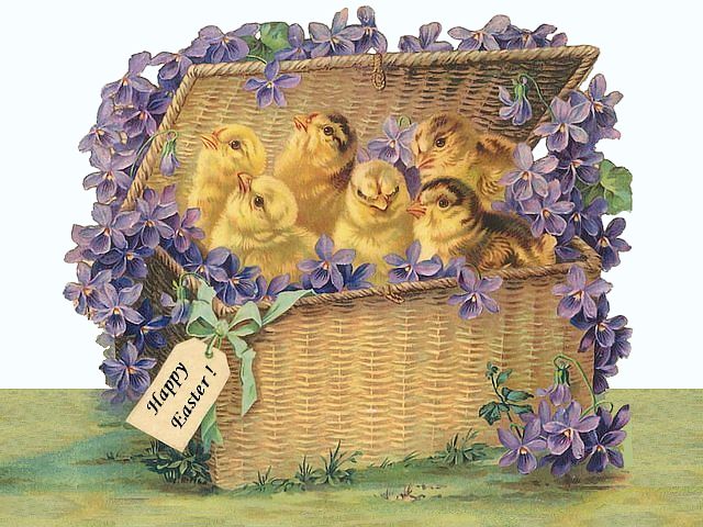 Easter Chicks in Basket Postcard - Lovely vintage postcard depicting a square wicker basket filled with little fluffy yellow chicks and pretty, purple violets. The tag attached to the basket says 'Happy Easter!' - , Easter, chicks, chick, basket, baskets, postcard, postcards, cartoon, cartoons, holiday, holidays, lovely, vintage, square, wicker, fluffy, yellow, pretty, purple, violets, tag, tags, Happy, Easter - Lovely vintage postcard depicting a square wicker basket filled with little fluffy yellow chicks and pretty, purple violets. The tag attached to the basket says 'Happy Easter!' Solve free online Easter Chicks in Basket Postcard puzzle games or send Easter Chicks in Basket Postcard puzzle game greeting ecards  from puzzles-games.eu.. Easter Chicks in Basket Postcard puzzle, puzzles, puzzles games, puzzles-games.eu, puzzle games, online puzzle games, free puzzle games, free online puzzle games, Easter Chicks in Basket Postcard free puzzle game, Easter Chicks in Basket Postcard online puzzle game, jigsaw puzzles, Easter Chicks in Basket Postcard jigsaw puzzle, jigsaw puzzle games, jigsaw puzzles games, Easter Chicks in Basket Postcard puzzle game ecard, puzzles games ecards, Easter Chicks in Basket Postcard puzzle game greeting ecard