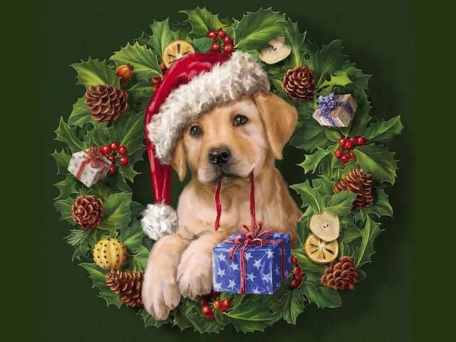 Christmas Puppy by Marcello Corti - Cute Golden Retriever Puppy in a Christmas wreath by the italian artist Marcello Corti. Marcello Corti was born in the beautiful medieval town of Bergamo in 1961.  He comes from a family of painters, sculptors and poets. A part of his professional portfolio become the advertising and graphic design. His original passion for painting he combines with his technology know-how, to create illustrations for paper stationery, picture books, gifts, household items. - , Christmas, puppy, puppies, Marcello, Corti, art, arts, holiday, holidays, cute, golden, retriever, wreath, wreaths, italian, artist, artists, beautiful, medieval, town, towns, Bergamo, 1961, family, families, painters, painter, sculptors, sculptor, poets, poet, part, parts, professional, portfolio, advertising, graphic, design, original, passion, technology, know-how, illustrations, illustration, paper, stationery, picture, books, book, gifts, gift, household, items, item - Cute Golden Retriever Puppy in a Christmas wreath by the italian artist Marcello Corti. Marcello Corti was born in the beautiful medieval town of Bergamo in 1961.  He comes from a family of painters, sculptors and poets. A part of his professional portfolio become the advertising and graphic design. His original passion for painting he combines with his technology know-how, to create illustrations for paper stationery, picture books, gifts, household items. Solve free online Christmas Puppy by Marcello Corti puzzle games or send Christmas Puppy by Marcello Corti puzzle game greeting ecards  from puzzles-games.eu.. Christmas Puppy by Marcello Corti puzzle, puzzles, puzzles games, puzzles-games.eu, puzzle games, online puzzle games, free puzzle games, free online puzzle games, Christmas Puppy by Marcello Corti free puzzle game, Christmas Puppy by Marcello Corti online puzzle game, jigsaw puzzles, Christmas Puppy by Marcello Corti jigsaw puzzle, jigsaw puzzle games, jigsaw puzzles games, Christmas Puppy by Marcello Corti puzzle game ecard, puzzles games ecards, Christmas Puppy by Marcello Corti puzzle game greeting ecard