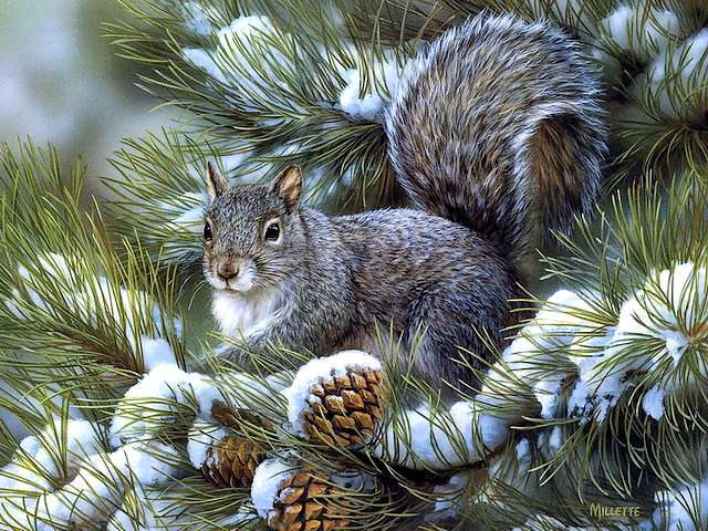 Gray Squirrel by Rosemary Millette пъзел игра 