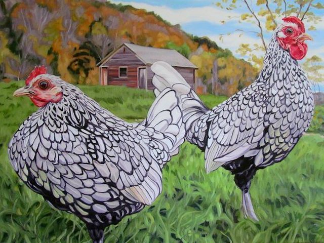 Silver Sebright Bantam Pair by Amy Mosher Vermont USA - A beautiful pair of Silver Sebright chickens which are living in a small farm at Vermont, the New England, a region of the northeastern USA, an oil painting on canvas by Amy Mosher. The Sebright (silver and golden) is an ornamental breed of miniature poultry, created in the 19th century by Sir John Saunders Sebright. They are usually one-fifth the size of the standard breed and have been brought by European sailors from the city of Bantam, a seaport in Indonesia. - , silver, Sebright, Bantam, pair, pairs, Amy, Mosher, Vermont, USA, art, arts, animals, animal, places, place, travel, travels, tout, tours, trip, trips, beautiful, chickens, chicken, farm, farms, New, England, region, regions, northeastern, oil, painting, paintings, canvas, canvases, golden, ornamental, breed, breeds, miniature, poultry, century, centuries, Sir, John, Saunders, size, sizes, standard, European, sailors, sailor, city, cities, seaport, seaports, Indonesia - A beautiful pair of Silver Sebright chickens which are living in a small farm at Vermont, the New England, a region of the northeastern USA, an oil painting on canvas by Amy Mosher. The Sebright (silver and golden) is an ornamental breed of miniature poultry, created in the 19th century by Sir John Saunders Sebright. They are usually one-fifth the size of the standard breed and have been brought by European sailors from the city of Bantam, a seaport in Indonesia. Solve free online Silver Sebright Bantam Pair by Amy Mosher Vermont USA puzzle games or send Silver Sebright Bantam Pair by Amy Mosher Vermont USA puzzle game greeting ecards  from puzzles-games.eu.. Silver Sebright Bantam Pair by Amy Mosher Vermont USA puzzle, puzzles, puzzles games, puzzles-games.eu, puzzle games, online puzzle games, free puzzle games, free online puzzle games, Silver Sebright Bantam Pair by Amy Mosher Vermont USA free puzzle game, Silver Sebright Bantam Pair by Amy Mosher Vermont USA online puzzle game, jigsaw puzzles, Silver Sebright Bantam Pair by Amy Mosher Vermont USA jigsaw puzzle, jigsaw puzzle games, jigsaw puzzles games, Silver Sebright Bantam Pair by Amy Mosher Vermont USA puzzle game ecard, puzzles games ecards, Silver Sebright Bantam Pair by Amy Mosher Vermont USA puzzle game greeting ecard