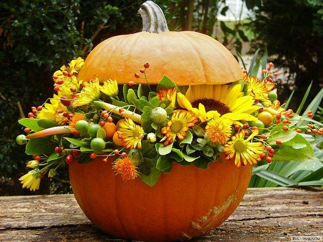 Autumn Decoration Pumpkin with Flowers - Beautiful autumn decoration for a table in the garden, with flowers in a carved pumpkin vase. - , autumn, decoration, decorations, pumpkin, pumpkins, flowers, flower, holidays, holiday, feast, feasts, nature, natures, season, seasons, beautiful, table, tables, garden, gardens, carved, pumpkin, pumpkins, vase, vases - Beautiful autumn decoration for a table in the garden, with flowers in a carved pumpkin vase. Подреждайте безплатни онлайн Autumn Decoration Pumpkin with Flowers пъзел игри или изпратете Autumn Decoration Pumpkin with Flowers пъзел игра поздравителна картичка  от puzzles-games.eu.. Autumn Decoration Pumpkin with Flowers пъзел, пъзели, пъзели игри, puzzles-games.eu, пъзел игри, online пъзел игри, free пъзел игри, free online пъзел игри, Autumn Decoration Pumpkin with Flowers free пъзел игра, Autumn Decoration Pumpkin with Flowers online пъзел игра, jigsaw puzzles, Autumn Decoration Pumpkin with Flowers jigsaw puzzle, jigsaw puzzle games, jigsaw puzzles games, Autumn Decoration Pumpkin with Flowers пъзел игра картичка, пъзели игри картички, Autumn Decoration Pumpkin with Flowers пъзел игра поздравителна картичка