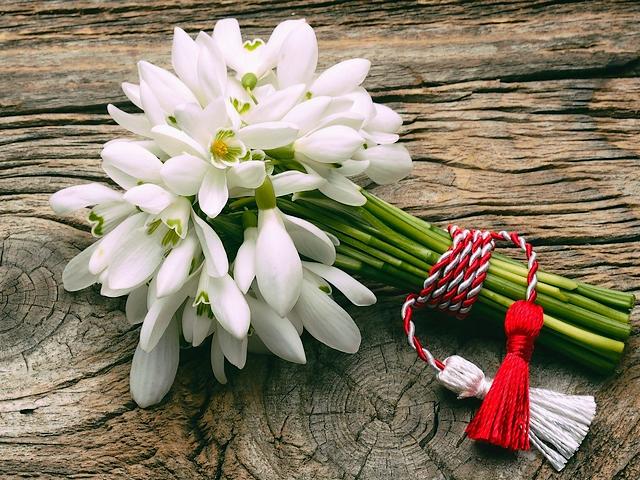 Bouquet Snowdrops with Martenitsa - Bouquet of snowdrops, decorated with Bulgarian Martenitsa, is a beautiful gift for 1st of March, the most celebrated spring feast in Bulgaria. <br />
The special amulet called martenitsa, made of tasseles on twined red and white thread are symbol of spring and health. - , bouquet, bouquets, snowdrops, snowdrop, martenitsa, flowers, flower, Bulgarian, beautiful, gift, gifts, March, spring, feast, feasts, Bulgaria, special, amulet, amulets, tasseles, tassel, red, white, thread, threads, symbol, symbols, health - Bouquet of snowdrops, decorated with Bulgarian Martenitsa, is a beautiful gift for 1st of March, the most celebrated spring feast in Bulgaria. <br />
The special amulet called martenitsa, made of tasseles on twined red and white thread are symbol of spring and health. Solve free online Bouquet Snowdrops with Martenitsa puzzle games or send Bouquet Snowdrops with Martenitsa puzzle game greeting ecards  from puzzles-games.eu.. Bouquet Snowdrops with Martenitsa puzzle, puzzles, puzzles games, puzzles-games.eu, puzzle games, online puzzle games, free puzzle games, free online puzzle games, Bouquet Snowdrops with Martenitsa free puzzle game, Bouquet Snowdrops with Martenitsa online puzzle game, jigsaw puzzles, Bouquet Snowdrops with Martenitsa jigsaw puzzle, jigsaw puzzle games, jigsaw puzzles games, Bouquet Snowdrops with Martenitsa puzzle game ecard, puzzles games ecards, Bouquet Snowdrops with Martenitsa puzzle game greeting ecard