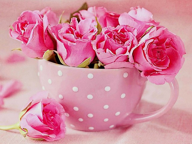 Pink Roses in Teacup Still Life - Romantic still life of pink roses in a teacup.<br />
Roses are the most splendid <br />
creation, which symbolize love, passion, admiration and nature’s beauty. The pink color is a combination of red and white, and inherits the sense of both colors. Pink rose represents unconditional love, empathy, gratitude and appreciation. - , pink, roses, rose, teacup, teacups, still, life, flowers, flower, splendid, creation, love, passion, admiration, nature, beauty, color, combination, red, white, sense, colors, unconditional, empathy, appreciation - Romantic still life of pink roses in a teacup.<br />
Roses are the most splendid <br />
creation, which symbolize love, passion, admiration and nature’s beauty. The pink color is a combination of red and white, and inherits the sense of both colors. Pink rose represents unconditional love, empathy, gratitude and appreciation. Resuelve rompecabezas en línea gratis Pink Roses in Teacup Still Life juegos puzzle o enviar Pink Roses in Teacup Still Life juego de puzzle tarjetas electrónicas de felicitación  de puzzles-games.eu.. Pink Roses in Teacup Still Life puzzle, puzzles, rompecabezas juegos, puzzles-games.eu, juegos de puzzle, juegos en línea del rompecabezas, juegos gratis puzzle, juegos en línea gratis rompecabezas, Pink Roses in Teacup Still Life juego de puzzle gratuito, Pink Roses in Teacup Still Life juego de rompecabezas en línea, jigsaw puzzles, Pink Roses in Teacup Still Life jigsaw puzzle, jigsaw puzzle games, jigsaw puzzles games, Pink Roses in Teacup Still Life rompecabezas de juego tarjeta electrónica, juegos de puzzles tarjetas electrónicas, Pink Roses in Teacup Still Life puzzle tarjeta electrónica de felicitación