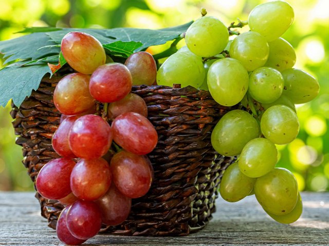 Grapes Still Life пазл игру 