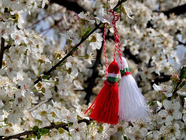Bulgarian Martenitsa on Blossom Tree - In folk beliefs, March 1 marks the beginning of spring. On this day, Bulgarians adorn themselves with white and red martenitsa for health and happiness.<br />
Martenitsa is credited with the magical power to ward off 'evils',  illnesses and lessons. It is taken down when the first stork or swallow is seen, and hung on a blossom tree. - , Bulgarian, martenitsa, martenitsi, blossom, tree, trees, holiday, holidays, folk, beliefs, belief, March, beginning, spring, day, Bulgarians, white, and, red, health, happiness, magical, power, evils, evil, illnesses, illness, lessons, stork, storks, swallow, swallows, blossom, tree, trees - In folk beliefs, March 1 marks the beginning of spring. On this day, Bulgarians adorn themselves with white and red martenitsa for health and happiness.<br />
Martenitsa is credited with the magical power to ward off 'evils',  illnesses and lessons. It is taken down when the first stork or swallow is seen, and hung on a blossom tree. Resuelve rompecabezas en línea gratis Bulgarian Martenitsa on Blossom Tree juegos puzzle o enviar Bulgarian Martenitsa on Blossom Tree juego de puzzle tarjetas electrónicas de felicitación  de puzzles-games.eu.. Bulgarian Martenitsa on Blossom Tree puzzle, puzzles, rompecabezas juegos, puzzles-games.eu, juegos de puzzle, juegos en línea del rompecabezas, juegos gratis puzzle, juegos en línea gratis rompecabezas, Bulgarian Martenitsa on Blossom Tree juego de puzzle gratuito, Bulgarian Martenitsa on Blossom Tree juego de rompecabezas en línea, jigsaw puzzles, Bulgarian Martenitsa on Blossom Tree jigsaw puzzle, jigsaw puzzle games, jigsaw puzzles games, Bulgarian Martenitsa on Blossom Tree rompecabezas de juego tarjeta electrónica, juegos de puzzles tarjetas electrónicas, Bulgarian Martenitsa on Blossom Tree puzzle tarjeta electrónica de felicitación