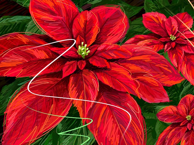 Christmas Card Red Poinsettia - Christmas card with red poinsettia. - , Christmas, card, cards, red, poinsettia, holidays, holiday, festival, festivals, celebrations, celebration - Christmas card with red poinsettia. Lösen Sie kostenlose Christmas Card Red Poinsettia Online Puzzle Spiele oder senden Sie Christmas Card Red Poinsettia Puzzle Spiel Gruß ecards  from puzzles-games.eu.. Christmas Card Red Poinsettia puzzle, Rätsel, puzzles, Puzzle Spiele, puzzles-games.eu, puzzle games, Online Puzzle Spiele, kostenlose Puzzle Spiele, kostenlose Online Puzzle Spiele, Christmas Card Red Poinsettia kostenlose Puzzle Spiel, Christmas Card Red Poinsettia Online Puzzle Spiel, jigsaw puzzles, Christmas Card Red Poinsettia jigsaw puzzle, jigsaw puzzle games, jigsaw puzzles games, Christmas Card Red Poinsettia Puzzle Spiel ecard, Puzzles Spiele ecards, Christmas Card Red Poinsettia Puzzle Spiel Gruß ecards
