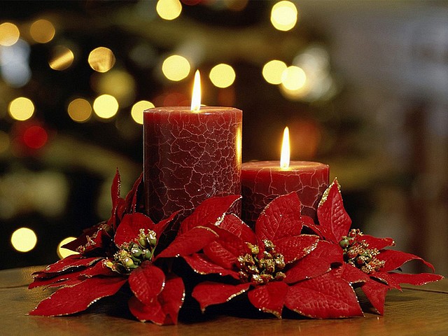 Christmas Card with Red Candles - Beautiful Christmas card with red candles, ornamented by  poinsettia. - , Christmas, card, cards, red, candles, candle, holidays, holiday, festival, festivals, celebrations, celebration, beautiful, poinsettia - Beautiful Christmas card with red candles, ornamented by  poinsettia. Solve free online Christmas Card with Red Candles puzzle games or send Christmas Card with Red Candles puzzle game greeting ecards  from puzzles-games.eu.. Christmas Card with Red Candles puzzle, puzzles, puzzles games, puzzles-games.eu, puzzle games, online puzzle games, free puzzle games, free online puzzle games, Christmas Card with Red Candles free puzzle game, Christmas Card with Red Candles online puzzle game, jigsaw puzzles, Christmas Card with Red Candles jigsaw puzzle, jigsaw puzzle games, jigsaw puzzles games, Christmas Card with Red Candles puzzle game ecard, puzzles games ecards, Christmas Card with Red Candles puzzle game greeting ecard