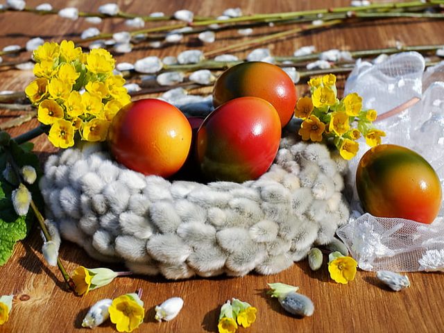 Easter Decor - Beautiful spring Easter decor with bird nest composed by white wreath of twigs willow catkins with bright colored eggs and yellow primroses blooms, on wooden table background. - , Easter, decor, decors, holiday, holidays, beautiful, spring, bird, nest, white, wreath, twigs, willow, catkins, bright, colored, eggs, yellow, primroses, blooms, wooden, table, background - Beautiful spring Easter decor with bird nest composed by white wreath of twigs willow catkins with bright colored eggs and yellow primroses blooms, on wooden table background. Solve free online Easter Decor puzzle games or send Easter Decor puzzle game greeting ecards  from puzzles-games.eu.. Easter Decor puzzle, puzzles, puzzles games, puzzles-games.eu, puzzle games, online puzzle games, free puzzle games, free online puzzle games, Easter Decor free puzzle game, Easter Decor online puzzle game, jigsaw puzzles, Easter Decor jigsaw puzzle, jigsaw puzzle games, jigsaw puzzles games, Easter Decor puzzle game ecard, puzzles games ecards, Easter Decor puzzle game greeting ecard