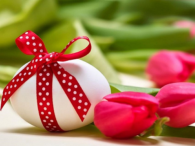 Easter Gift - A playful Easter gift with a white egg, tied with red ribbon and a big bow on background of red tulips. - , Easter, gift, gifts, holidays, holiday, playful, white, egg, eggs, red, ribbon, ribbons, bow, bows, background, backgrounds, tulips, tulip - A playful Easter gift with a white egg, tied with red ribbon and a big bow on background of red tulips. Solve free online Easter Gift puzzle games or send Easter Gift puzzle game greeting ecards  from puzzles-games.eu.. Easter Gift puzzle, puzzles, puzzles games, puzzles-games.eu, puzzle games, online puzzle games, free puzzle games, free online puzzle games, Easter Gift free puzzle game, Easter Gift online puzzle game, jigsaw puzzles, Easter Gift jigsaw puzzle, jigsaw puzzle games, jigsaw puzzles games, Easter Gift puzzle game ecard, puzzles games ecards, Easter Gift puzzle game greeting ecard