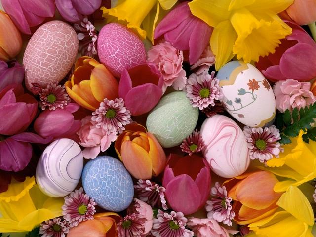 Easter Pastels - The Easter eggs in pastel colors are a beautiful decoration for this spring time fest. - , Easter, pastels, eggs, holidays, holiday, celebration, fest, spring - The Easter eggs in pastel colors are a beautiful decoration for this spring time fest. Решайте бесплатные онлайн Easter Pastels пазлы игры или отправьте Easter Pastels пазл игру приветственную открытку  из puzzles-games.eu.. Easter Pastels пазл, пазлы, пазлы игры, puzzles-games.eu, пазл игры, онлайн пазл игры, игры пазлы бесплатно, бесплатно онлайн пазл игры, Easter Pastels бесплатно пазл игра, Easter Pastels онлайн пазл игра , jigsaw puzzles, Easter Pastels jigsaw puzzle, jigsaw puzzle games, jigsaw puzzles games, Easter Pastels пазл игра открытка, пазлы игры открытки, Easter Pastels пазл игра приветственная открытка