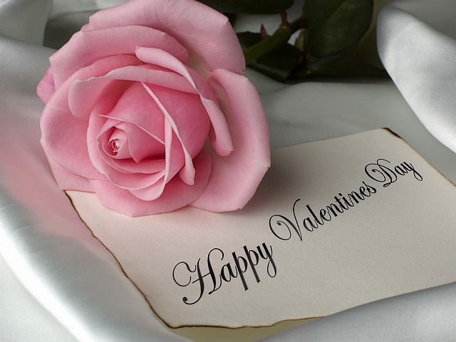 Happy Valentines Day with Pink Rose - Wishes for a 'Happy Valentine's Day' with a graceful and elegant pink rose, which symbolizes gentleness, admiration, thankfulness or a new romance. Pink rose with its delicate beauty is a symbol of maternal love. - , Happy, Valentines, Day, days, pink, rose, roses, holidays, holiday, flowers, flower, wishes, wish, graceful, elegant, gentleness, admiration, thankfulness, romance, delicate, beauty, beauties, symbol, symbols, maternal, love - Wishes for a 'Happy Valentine's Day' with a graceful and elegant pink rose, which symbolizes gentleness, admiration, thankfulness or a new romance. Pink rose with its delicate beauty is a symbol of maternal love. Solve free online Happy Valentines Day with Pink Rose puzzle games or send Happy Valentines Day with Pink Rose puzzle game greeting ecards  from puzzles-games.eu.. Happy Valentines Day with Pink Rose puzzle, puzzles, puzzles games, puzzles-games.eu, puzzle games, online puzzle games, free puzzle games, free online puzzle games, Happy Valentines Day with Pink Rose free puzzle game, Happy Valentines Day with Pink Rose online puzzle game, jigsaw puzzles, Happy Valentines Day with Pink Rose jigsaw puzzle, jigsaw puzzle games, jigsaw puzzles games, Happy Valentines Day with Pink Rose puzzle game ecard, puzzles games ecards, Happy Valentines Day with Pink Rose puzzle game greeting ecard