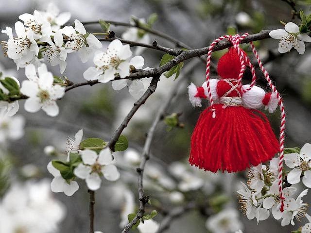 Martenitsa on Blooming Tree - When the martenitsa is taken off, many people tie it to a blooming tree, one that they would like to be especially fruitful. That's why in the beginning of March, you can see the martenitsa hanging in the branches as you walk outside.<br />
The martenitsa became a symbol of peace and love, health and happiness. The white color symbolizes purity and honesty in relationships, and the red color means life, passion, and cordiality in friendship and mutual love. - , martenitsa, blooming, tree, trees, holiday, holidays, people, fruitful, March, branches, branch, symbol, symbols, peace, love, health, happiness, white, color, purity, honesty, relationships, relationship, red, color, life, passion, cordiality, friendship, mutual, love - When the martenitsa is taken off, many people tie it to a blooming tree, one that they would like to be especially fruitful. That's why in the beginning of March, you can see the martenitsa hanging in the branches as you walk outside.<br />
The martenitsa became a symbol of peace and love, health and happiness. The white color symbolizes purity and honesty in relationships, and the red color means life, passion, and cordiality in friendship and mutual love. Resuelve rompecabezas en línea gratis Martenitsa on Blooming Tree juegos puzzle o enviar Martenitsa on Blooming Tree juego de puzzle tarjetas electrónicas de felicitación  de puzzles-games.eu.. Martenitsa on Blooming Tree puzzle, puzzles, rompecabezas juegos, puzzles-games.eu, juegos de puzzle, juegos en línea del rompecabezas, juegos gratis puzzle, juegos en línea gratis rompecabezas, Martenitsa on Blooming Tree juego de puzzle gratuito, Martenitsa on Blooming Tree juego de rompecabezas en línea, jigsaw puzzles, Martenitsa on Blooming Tree jigsaw puzzle, jigsaw puzzle games, jigsaw puzzles games, Martenitsa on Blooming Tree rompecabezas de juego tarjeta electrónica, juegos de puzzles tarjetas electrónicas, Martenitsa on Blooming Tree puzzle tarjeta electrónica de felicitación