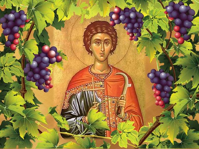 Saint Tryphon Day of the Grower - Saint Tryphon is a Christian priest who is considered to be the keeper of the vineyards, who is often depicted as a young man with different cutting tools. Legend has it that he was brother of the Virgin Mary and is known for his healing abilities. Tryphon Zarezan (or the Day of the Grower) is a Bulgarian folk festival in honour of Saint Tryphon. Traditionally on this day is done symbolically first pruning of the vineyards for encouraging the growth of the vines. Tryphon Zarezan is celebrated by wine growers, falconers, gardeners and innkeepers on 14th of February (according to the Gregorian calendar) or the February 1st (the Julian calendar), when the Bulgarian Orthodox Church officially honours Saint Tryphon. - , saint, saints, Tryphon, day, days, grower, growers, holidays, holiday, feast, feasts, Christian, priest, priests, keeper, keepers, vineyards, vineyard, young, man, men, cutting, tools, tool, legend, brother, brothers, Virgin, Mary, healing, abilities, ability, Bulgarian, folk, festival, festivals, honour, growth, vines, vine, wine, falconers, falconer, gardeners, gardener, innkeepers, innkeeper, February, Gregorian, calendar, calendars, Julian, Orthodox, church, churches - Saint Tryphon is a Christian priest who is considered to be the keeper of the vineyards, who is often depicted as a young man with different cutting tools. Legend has it that he was brother of the Virgin Mary and is known for his healing abilities. Tryphon Zarezan (or the Day of the Grower) is a Bulgarian folk festival in honour of Saint Tryphon. Traditionally on this day is done symbolically first pruning of the vineyards for encouraging the growth of the vines. Tryphon Zarezan is celebrated by wine growers, falconers, gardeners and innkeepers on 14th of February (according to the Gregorian calendar) or the February 1st (the Julian calendar), when the Bulgarian Orthodox Church officially honours Saint Tryphon. Solve free online Saint Tryphon Day of the Grower puzzle games or send Saint Tryphon Day of the Grower puzzle game greeting ecards  from puzzles-games.eu.. Saint Tryphon Day of the Grower puzzle, puzzles, puzzles games, puzzles-games.eu, puzzle games, online puzzle games, free puzzle games, free online puzzle games, Saint Tryphon Day of the Grower free puzzle game, Saint Tryphon Day of the Grower online puzzle game, jigsaw puzzles, Saint Tryphon Day of the Grower jigsaw puzzle, jigsaw puzzle games, jigsaw puzzles games, Saint Tryphon Day of the Grower puzzle game ecard, puzzles games ecards, Saint Tryphon Day of the Grower puzzle game greeting ecard