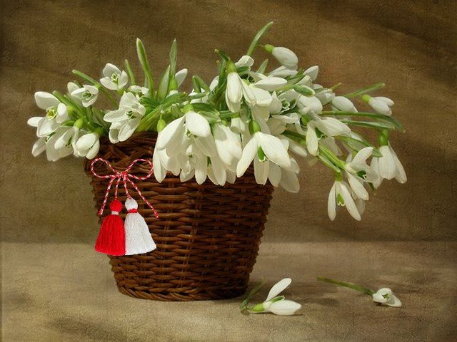 Snowdrops with Bulgarian Martenitsa Wallpaper - Wallpaper with beautiful heralds of spring, delicate white snowdrops (Galanthus nivalis) nestled in wicker basket, which is decorated with red and white tassels of Bulgarian martenitsa, symbol of new life, fertility, good health and luck. The white colour symbolizes purity and the red is a symbol of the life and the passion. - , snowdrops, snowdrop, Bulgarian, martenitsa, martenitsi, wallpaper, wallpapers, holiday, holidays, flower, flowers, feast, feasts, season, seasons, beautiful, heralds, herald, spring, delicate, white, Galanthus, nivalis, wicker, basket, baskets, red, tassels, tassel, symbol, symbols, new, life, lives, fertility, health, luck, colour, colours, purity, passion, passions - Wallpaper with beautiful heralds of spring, delicate white snowdrops (Galanthus nivalis) nestled in wicker basket, which is decorated with red and white tassels of Bulgarian martenitsa, symbol of new life, fertility, good health and luck. The white colour symbolizes purity and the red is a symbol of the life and the passion. Подреждайте безплатни онлайн Snowdrops with Bulgarian Martenitsa Wallpaper пъзел игри или изпратете Snowdrops with Bulgarian Martenitsa Wallpaper пъзел игра поздравителна картичка  от puzzles-games.eu.. Snowdrops with Bulgarian Martenitsa Wallpaper пъзел, пъзели, пъзели игри, puzzles-games.eu, пъзел игри, online пъзел игри, free пъзел игри, free online пъзел игри, Snowdrops with Bulgarian Martenitsa Wallpaper free пъзел игра, Snowdrops with Bulgarian Martenitsa Wallpaper online пъзел игра, jigsaw puzzles, Snowdrops with Bulgarian Martenitsa Wallpaper jigsaw puzzle, jigsaw puzzle games, jigsaw puzzles games, Snowdrops with Bulgarian Martenitsa Wallpaper пъзел игра картичка, пъзели игри картички, Snowdrops with Bulgarian Martenitsa Wallpaper пъзел игра поздравителна картичка